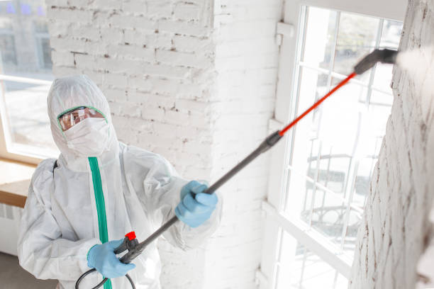 Best Mold Documentation for Insurance Claims  in Naranja, FL