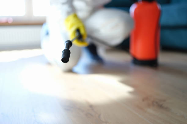 Best Indoor Air Quality Assessment  in Naranja, FL