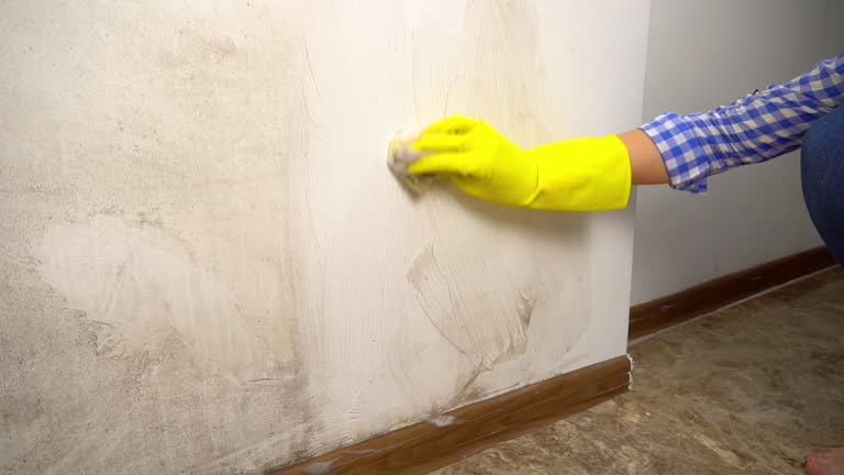 Best Mold Remediation for Healthcare Facilities  in Naranja, FL