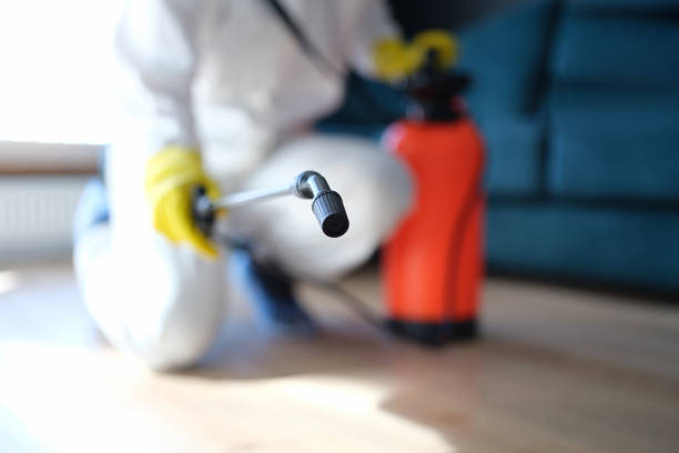 Best Forensic Mold Investigation  in Naranja, FL