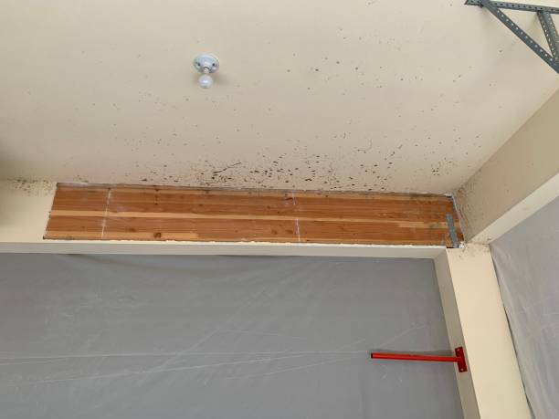 Best HVAC Mold Inspection and Cleaning  in Naranja, FL