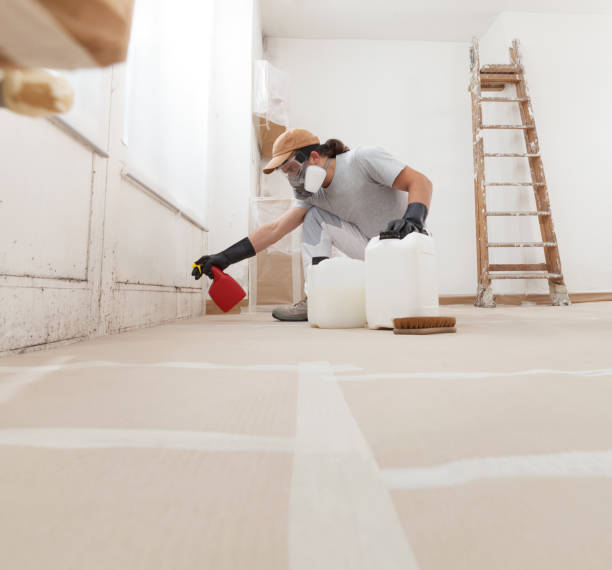 Best Mold-Related Health Consultation  in Naranja, FL