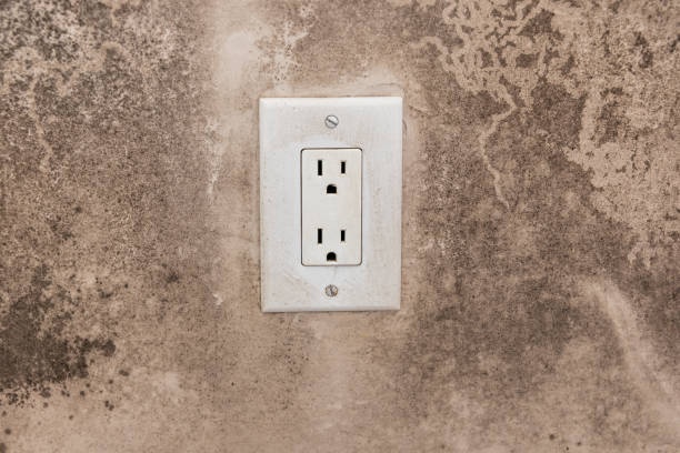 Best Mold Odor Removal Services  in Naranja, FL